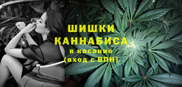 мдпв Богородск