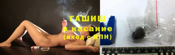 мдпв Богородск