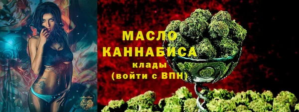 мдпв Богородск
