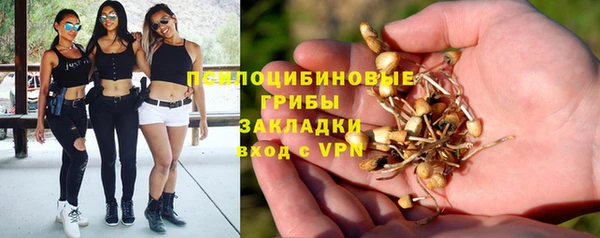 мдпв Богородск
