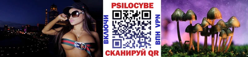 Галлюциногенные грибы Cubensis Краснослободск