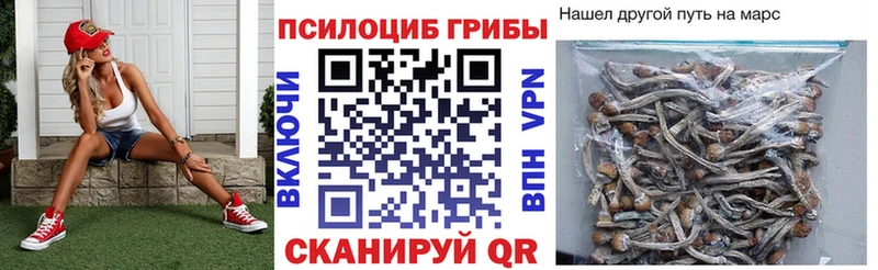 Галлюциногенные грибы Cubensis  Купить  Краснослободск 