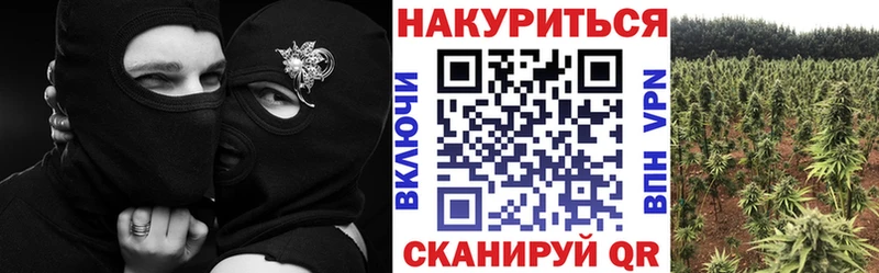 Купить где  Краснослободск  Шишки марихуана тримм 